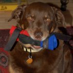 can we please go out_2 (1).jpg