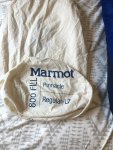 Marmot.jpg