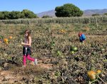 Kids at Mortimer Farms Pumpkin Patch Resize 10-12-19.jpg