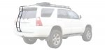 gobi 2.jpg