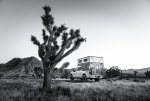 Joshua Tree and Overlanding Campsite.jpg