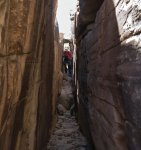 P1250005 -1 - Copy.jpg