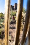 Saguaro Cactus Ribs Framing Female Mountain Biker on K Trail.jpg