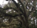 IMG_4866.JPG