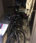 bikes in trailer.jpg