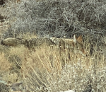 IMG_3335.jpeg IMG_3335.jpeg