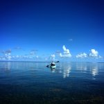 6893FE37-B824-482B-B67C-61E56CC25D98 (1).jpg 6893FE37-B824-482B-B67C-61E56CC25D98 (1).jpg