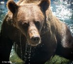 67616230_10214722847928555_1601630709548580864_o.jpg 67616230_10214722847928555_1601630709548580864_o.jpg