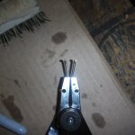 DSCF1131.JPG DSCF1131.JPG