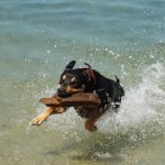 DSC_0032 2.jpeg DSC_0032 2.jpeg