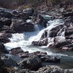 FB_IMG_1584904786881.jpg FB_IMG_1584904786881.jpg