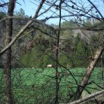 FB_IMG_1584904768941.jpg FB_IMG_1584904768941.jpg