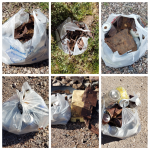 Photo_2020-03-16_07-10-13_PM_copy_1600x1600_copy_1280x1280.png Photo_2020-03-16_07-10-13_PM_copy_1600x1600_copy_1280x1280.png