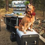 90144302_140108030708143_5842709836780955354_n.jpg 90144302_140108030708143_5842709836780955354_n.jpg