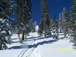 SLEDPICS-26.jpg