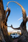 Juniper Snag Framing Overlanding Campsite and Moon at Sunset-Edit.jpg