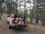 firewoodloadSized.jpg