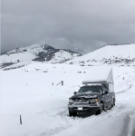 Spring in WY.png