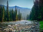 North Idaho River 2.jpeg