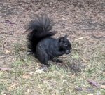 IMG_20191030_164317 (2).jpg IMG_20191030_164317 (2).jpg