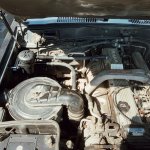 8A2D4B06-2811-436A-A73C-3504757E90E7.jpeg 8A2D4B06-2811-436A-A73C-3504757E90E7.jpeg