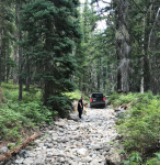 Screen Shot 2020-06-03 at 9.24.53 PM.png