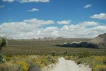 Joshua Tree NP.jpg