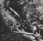 1960 Trans-Darien Expedition near Palo de las Letras.jpg