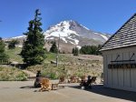 Mt Hood from Timberline Lodge.jpg