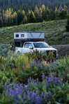 Overlanding Campsite Surrounded by Lupine-Edit.jpg