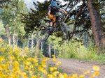 Jackson Edge Jumps Colorful Wildflowers at Targhee Bike Park.jpg