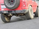 Flexed33s.JPG