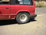 Stuffed32s.JPG