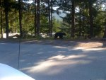 IMG_0743.jpg