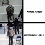 Bernie & Cayenne.jpg