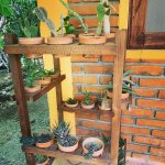 0DD4176A-A0C0-4B46-96CF-4821A6AF3090.jpeg 0DD4176A-A0C0-4B46-96CF-4821A6AF3090.jpeg