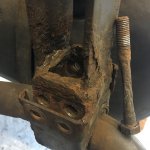 IMG_5557.JPG IMG_5557.JPG