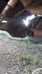 Front of Rear Axle Day 1.jpg Front of Rear Axle Day 1.jpg