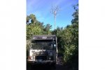 karl and lone tree.jpg