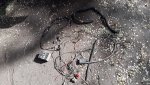 Removed Wiring.jpg Removed Wiring.jpg