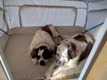 IMG_20160229_084125.jpg