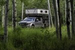 Aspen Trunks Surrounding Overlanding Campsite in Abajo Mountains II.jpg