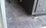 IMAG0103.jpg