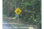 look out for snakes.jpg
