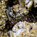 IMG_20210630_191333_346.jpg IMG_20210630_191333_346.jpg