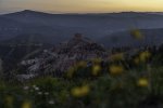 Wildflowers Framing View of Cedar Breaks National Monument at Sunset.jpg