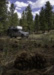 Pine Trees and Cones Surround an Overlanding Rig at a Campsite on Boulder Mountain.jpg