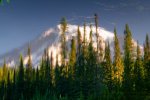 rainier reflection.jpg