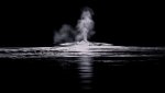 whale blow BW.jpg