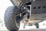 _XT43715.jpg
